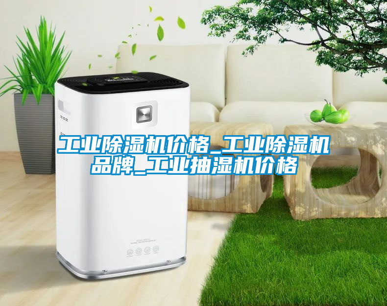 工業(yè)除濕機價格_工業(yè)除濕機品牌_工業(yè)抽濕機價格