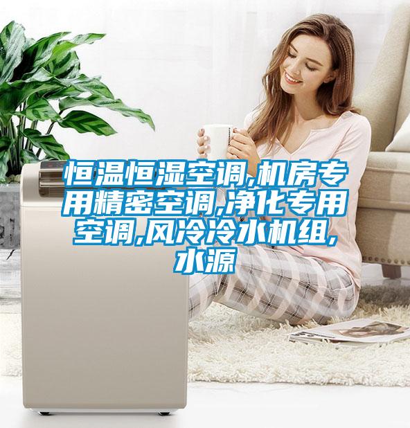 恒溫恒濕空調(diào),機(jī)房專用精密空調(diào),凈化專用空調(diào),風(fēng)冷冷水機(jī)組,水源