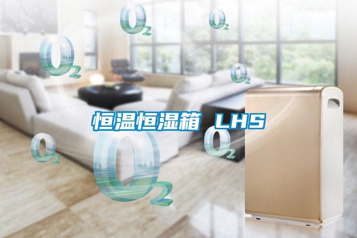 恒溫恒濕箱 LHS