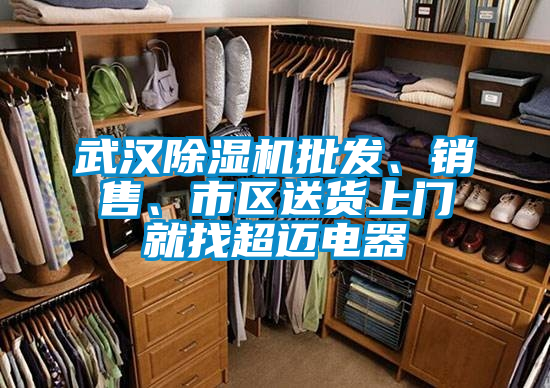 武漢除濕機批發、銷售、市區送貨上門就找超邁電器