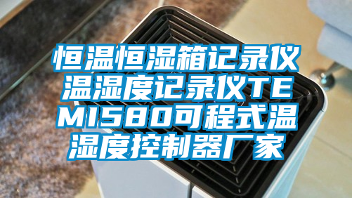 恒溫恒濕箱記錄儀溫濕度記錄儀TEMI580可程式溫濕度控制器廠家