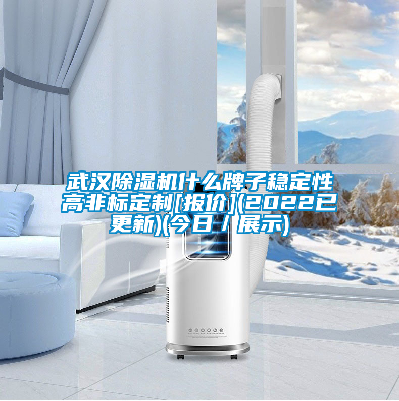 武漢除濕機什么牌子穩定性高非標定制[報價](2022已更新)(今日／展示)
