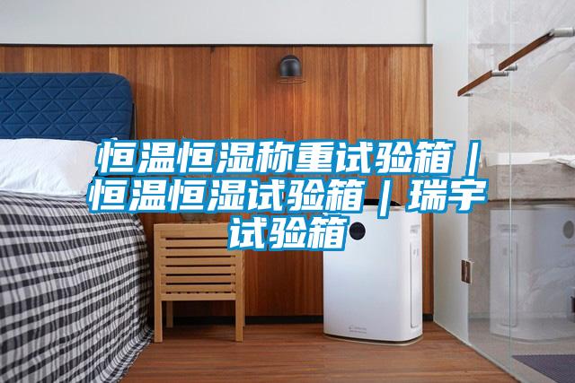 恒溫恒濕稱重試驗箱|恒溫恒濕試驗箱|瑞宇試驗箱
