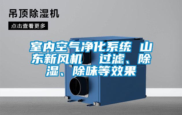 室內(nèi)空氣凈化系統(tǒng) 山東新風(fēng)機(jī)  過(guò)濾、除濕、除味等效果