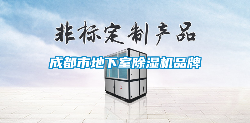 成都市地下室除濕機品牌