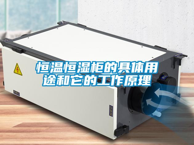 恒溫恒濕柜的具體用途和它的工作原理