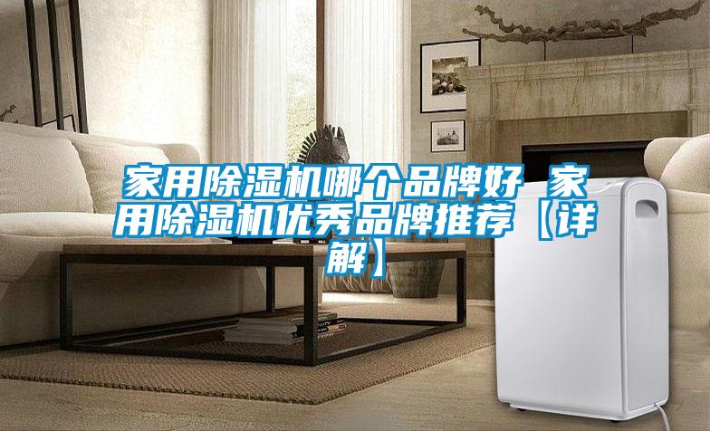 家用除濕機哪個品牌好 家用除濕機優(yōu)秀品牌推薦【詳解】