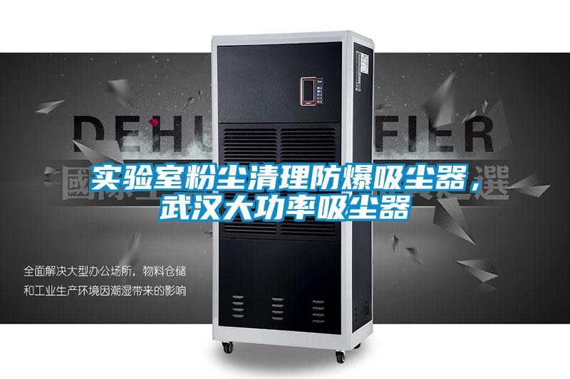 實(shí)驗(yàn)室粉塵清理防爆吸塵器，武漢大功率吸塵器