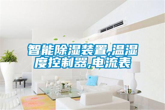 智能除濕裝置,溫濕度控制器,電流表