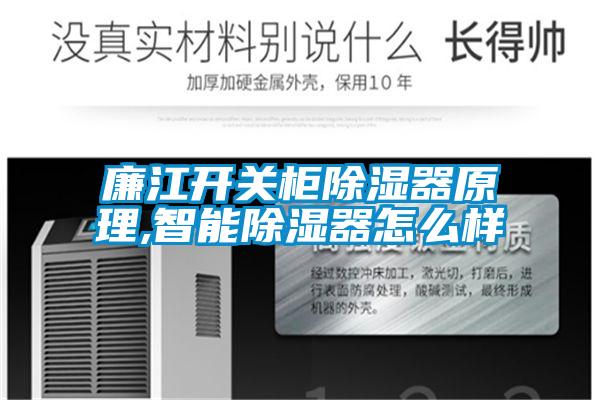 廉江開關柜除濕器原理,智能除濕器怎么樣