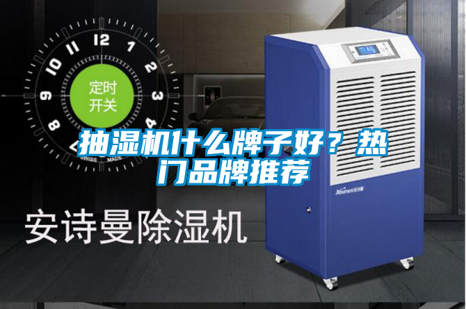 抽濕機什么牌子好？熱門品牌推薦