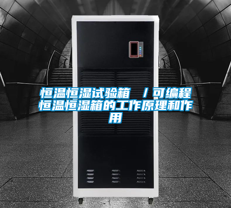 恒溫恒濕試驗箱 /可編程恒溫恒濕箱的工作原理和作用