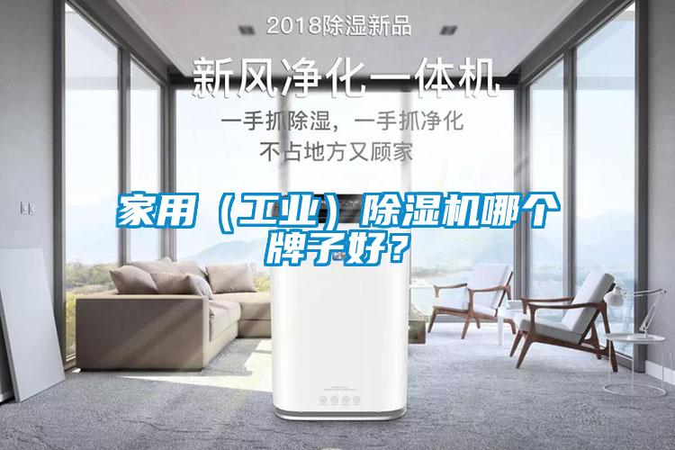 家用（工業）除濕機哪個牌子好？