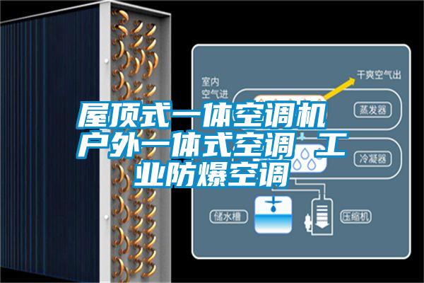 屋頂式一體空調(diào)機(jī) 戶外一體式空調(diào) 工業(yè)防爆空調(diào)