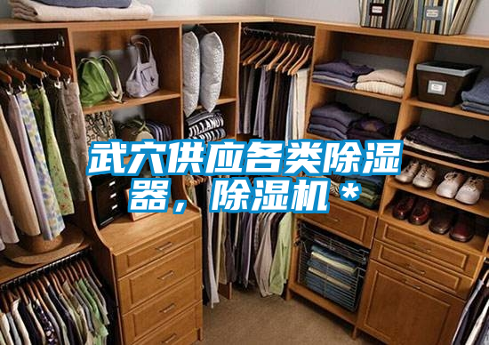 武穴供應各類除濕器,除濕機*