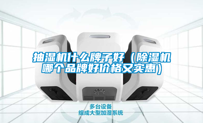 抽濕機什么牌子好（除濕機哪個品牌好價格又實惠）