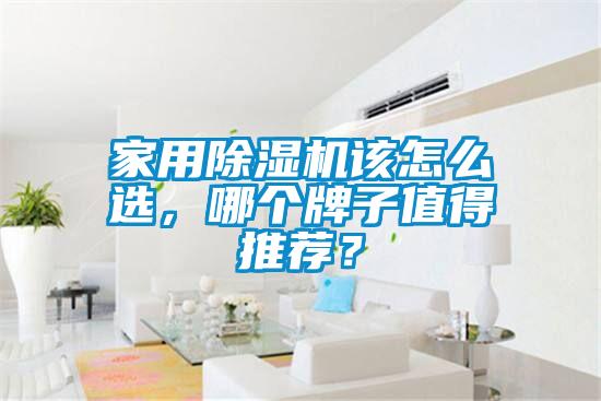 家用除濕機該怎么選，哪個牌子值得推薦？
