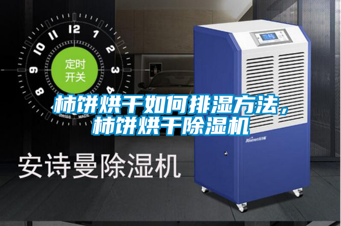 柿餅烘干如何排濕方法，柿餅烘干除濕機