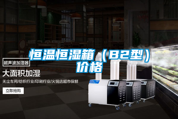 恒溫恒濕箱（B2型）價格