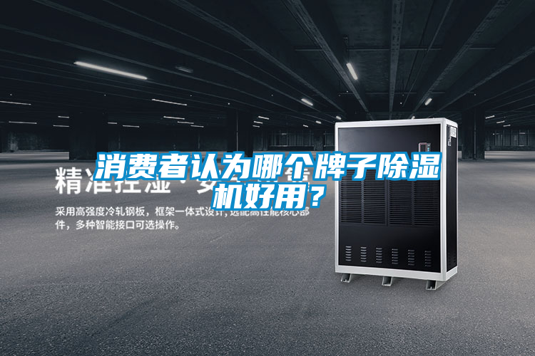 消費者認為哪個牌子除濕機好用？