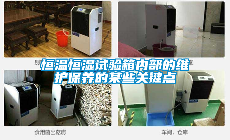 恒溫恒濕試驗箱內部的維護保養的某些關鍵點