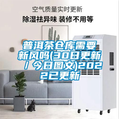 普洱茶倉庫需要新風嗎(30日更新／今日圖文)2022已更新