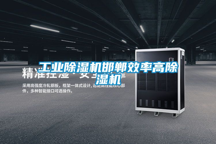 工業除濕機邯鄲效率高除濕機