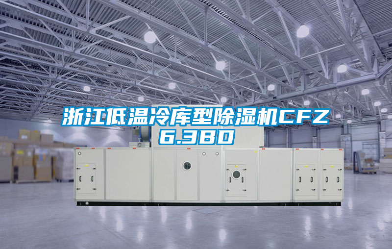 浙江低溫冷庫型除濕機CFZ6.3BD