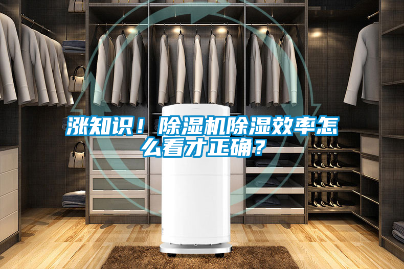漲知識！除濕機除濕效率怎么看才正確？