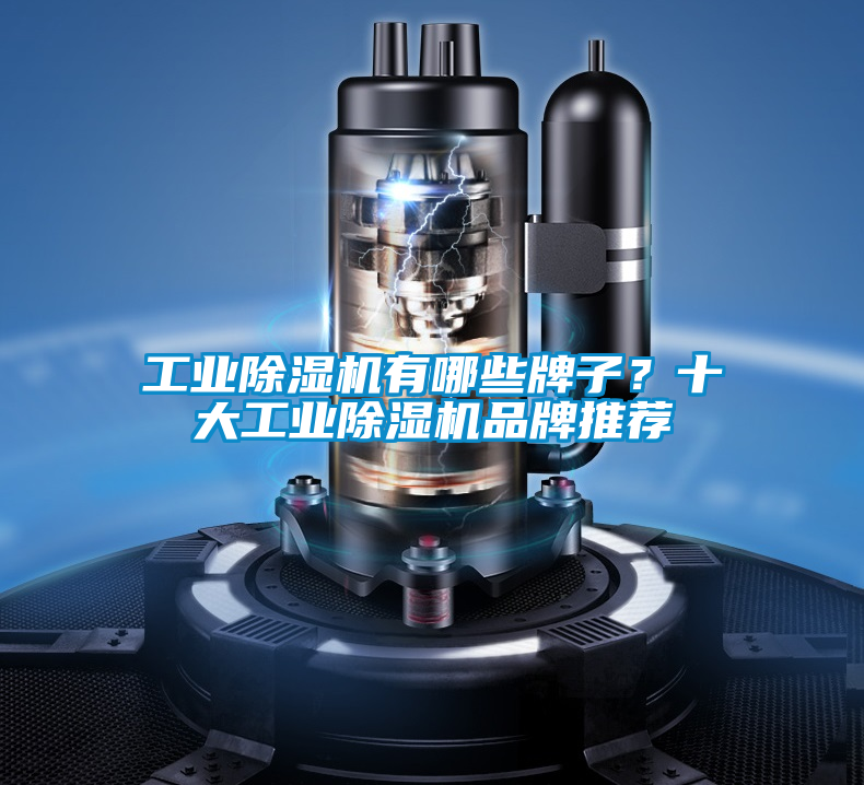 工業除濕機有哪些牌子？十大工業除濕機品牌推薦