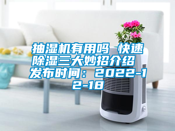 抽濕機有用嗎 快速除濕三大妙招介紹 發布時間：2022-12-18