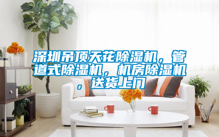 深圳吊頂天花除濕機，管道式除濕機，機房除濕機，送貨上門