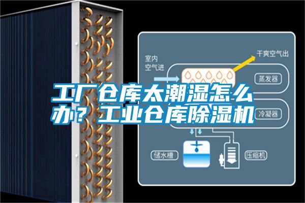 工廠倉庫太潮濕怎么辦？工業倉庫除濕機