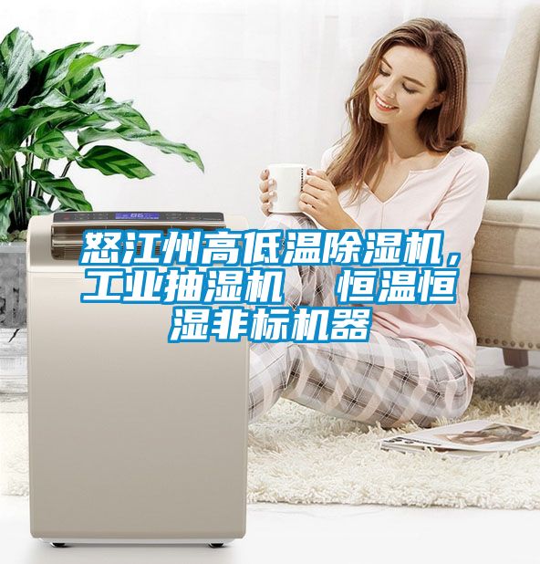 怒江州高低溫除濕機，工業(yè)抽濕機  恒溫恒濕非標(biāo)機器