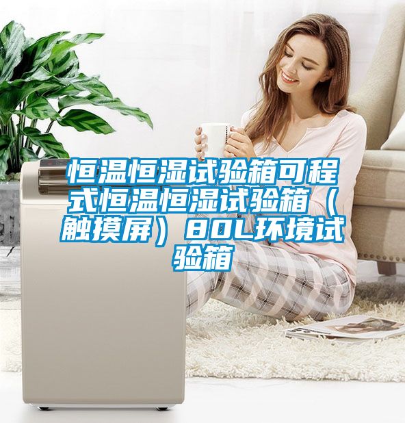 恒溫恒濕試驗箱可程式恒溫恒濕試驗箱(觸摸屏)80L環境試驗箱