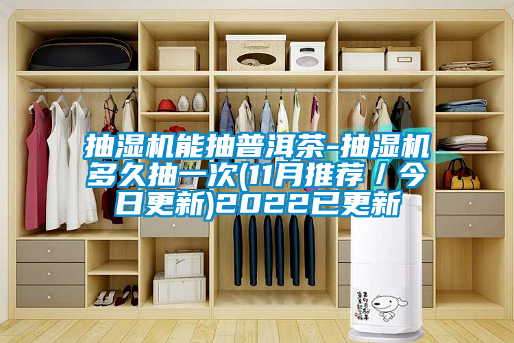 抽濕機能抽普洱茶-抽濕機多久抽一次(11月推薦/今日更新)2022已更新
