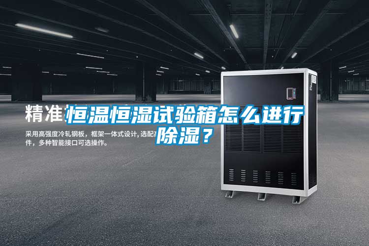 恒溫恒濕試驗箱怎么進行除濕？