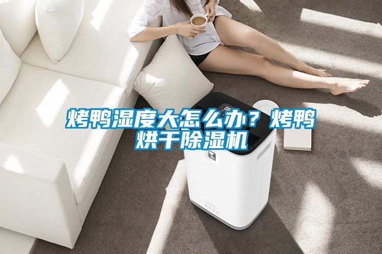 烤鴨濕度大怎么辦？烤鴨烘干除濕機(jī)