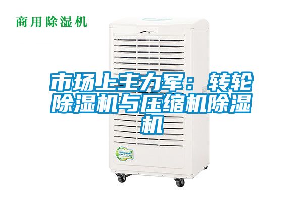 市場(chǎng)上主力軍：轉(zhuǎn)輪除濕機(jī)與壓縮機(jī)除濕機(jī)