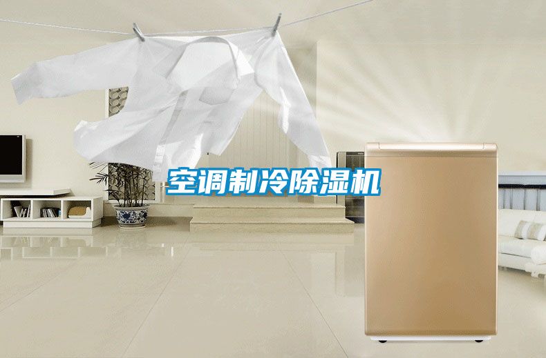 空調制冷除濕機