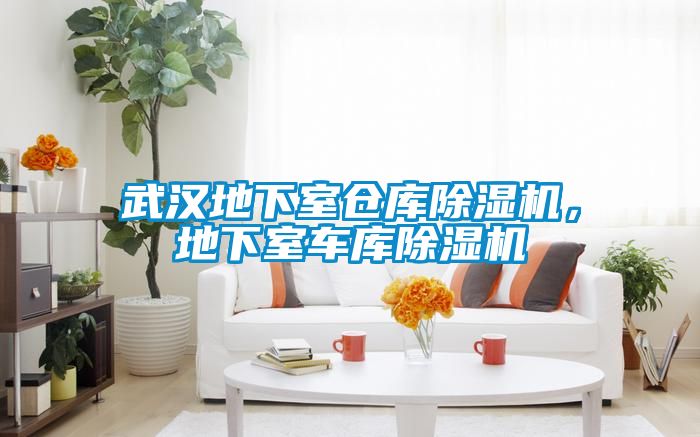 武漢地下室倉(cāng)庫(kù)除濕機(jī)，地下室車庫(kù)除濕機(jī)