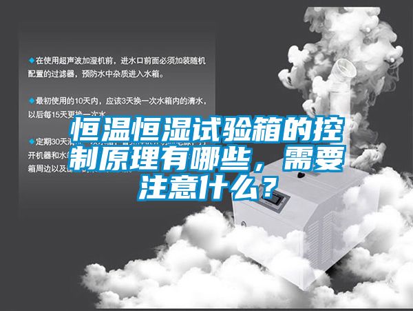 恒溫恒濕試驗箱的控制原理有哪些,需要注意什么?