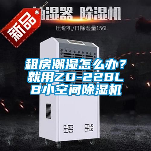 租房潮濕怎么辦？就用ZD-228LB小空間除濕機