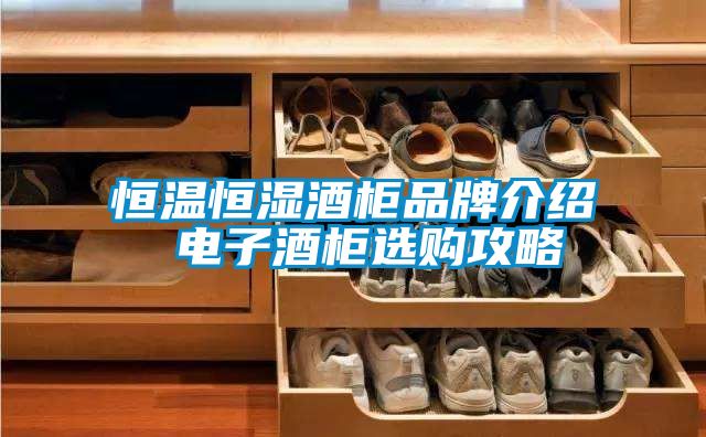 恒溫恒濕酒柜品牌介紹 電子酒柜選購攻略