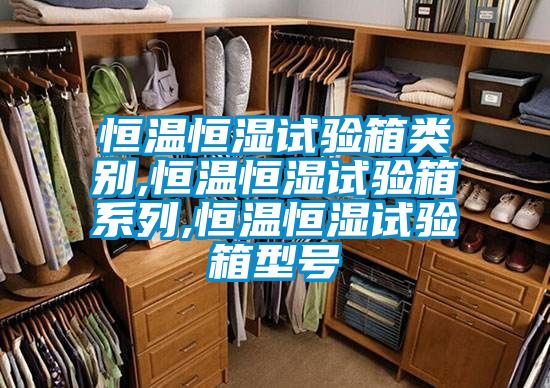 恒溫恒濕試驗箱類別,恒溫恒濕試驗箱系列,恒溫恒濕試驗箱型號