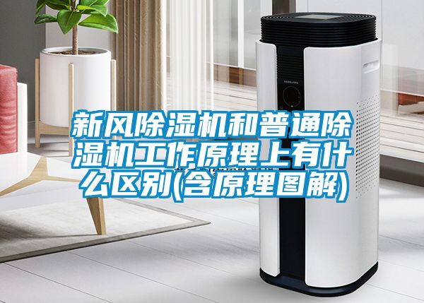 新風(fēng)除濕機和普通除濕機工作原理上有什么區(qū)別(含原理圖解)