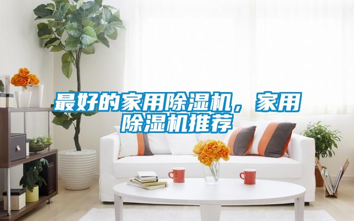 最好的家用除濕機，家用除濕機推薦