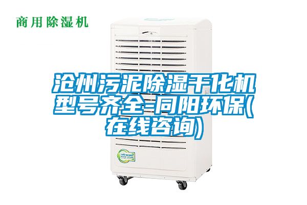滄州污泥除濕干化機型號齊全-同陽環保(在線咨詢)