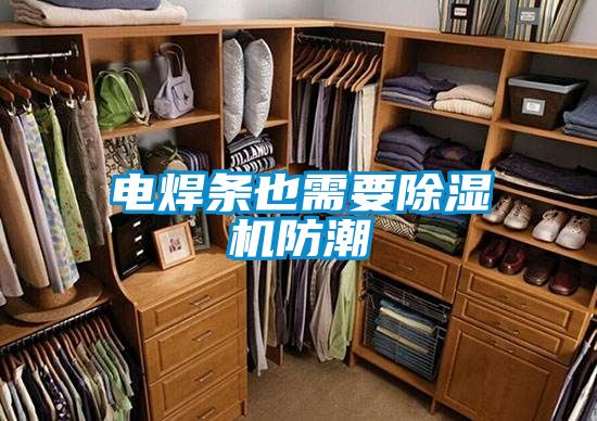 電焊條也需要除濕機防潮