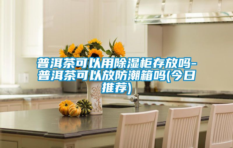 普洱茶可以用除濕柜存放嗎-普洱茶可以放防潮箱嗎(今日推薦)